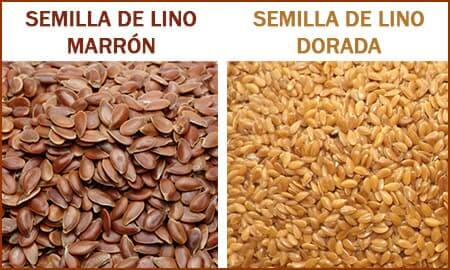 Diferencia entre semilla de lino marron y dorada