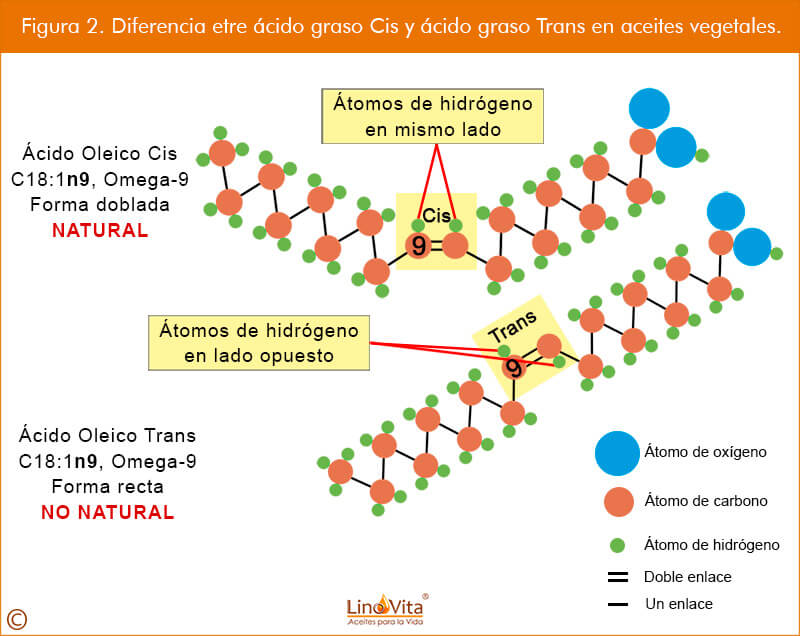 Figura 2 web Diferencia etre acido graso Cis y acido graso Trans en aceites vegetales omega 3 linovita