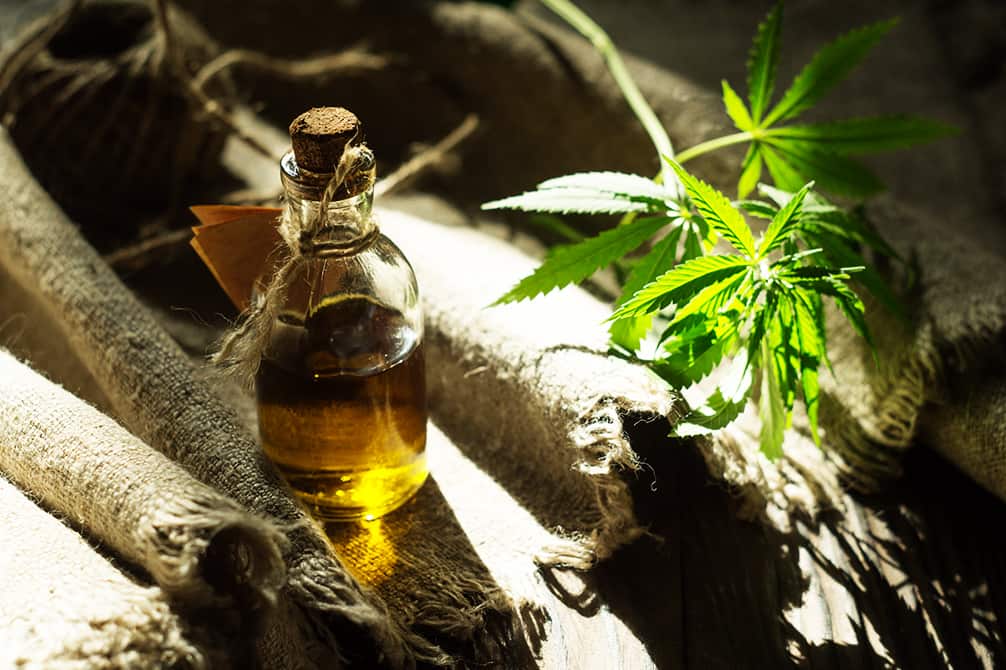 una botella de vidrio con aceite de canamo con planta de cannabis sativa