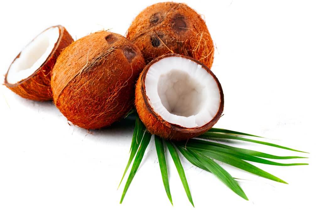 fruta de coco con hojas verdes cocos nucifera