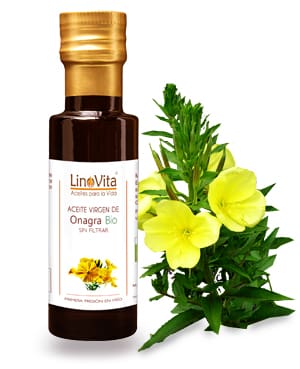 botella de aceite y flores amarillas en fondo de onagra oenothera biennis de marca linovita