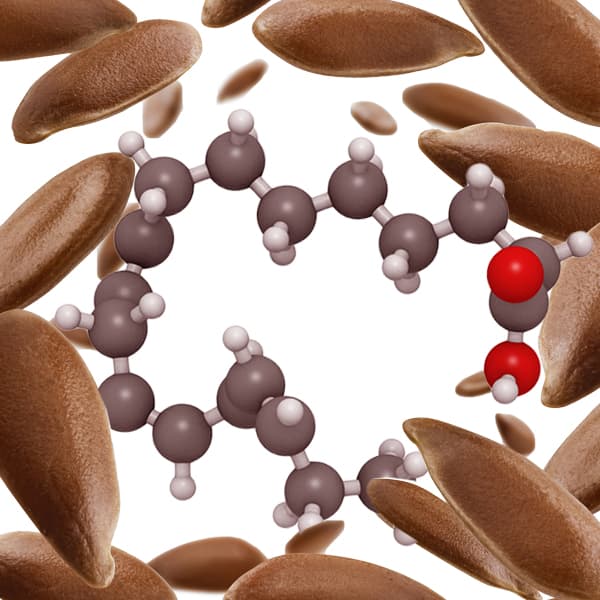 semillas de lino linaza con una molecula de acido alfa linolenico ALA omega 3