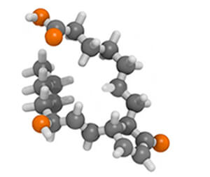 molecula de prostaglandina gris y roja