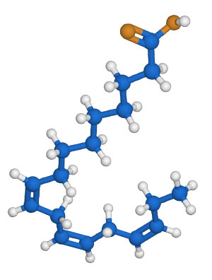 molecula de acido graso omega 3 acido alfa linolénico ALA