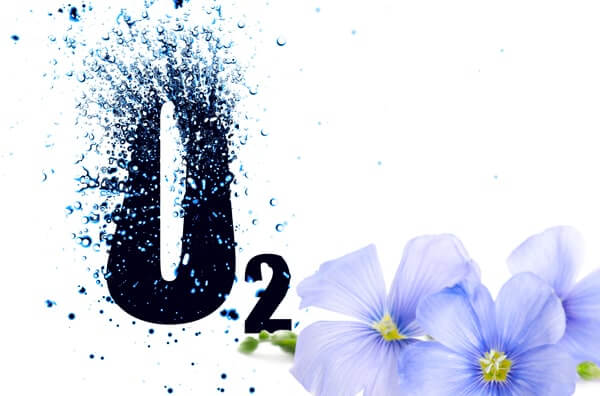 símbolo h2o y flores moradas